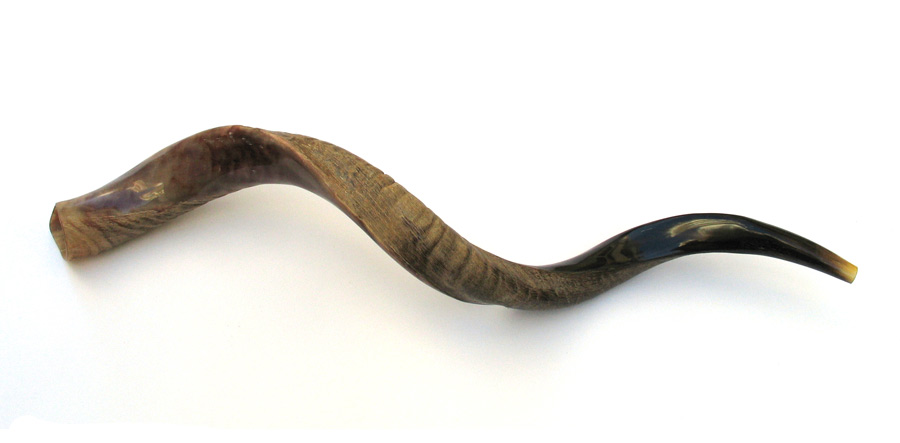 34 36 Yemenite Kudu Horn Shofar Half Polished/Natural  