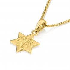 14K Gold Pendant Necklace - Star of David with Tree of Life Image in Center