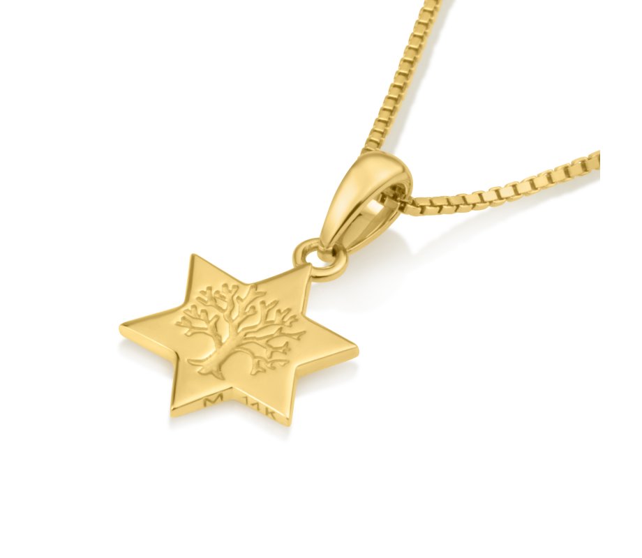 14K Gold Pendant Necklace - Star of David with Tree of Life Image in Center