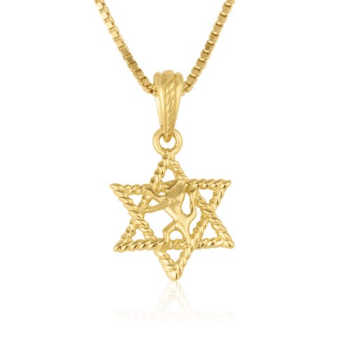 14k Solid Gold Necklace and Pendant - Lion Of Judah inside Textured Star of David