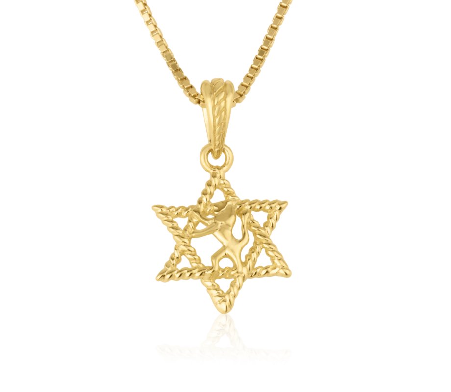14k Solid Gold Necklace and Pendant - Lion Of Judah inside Textured Star of David