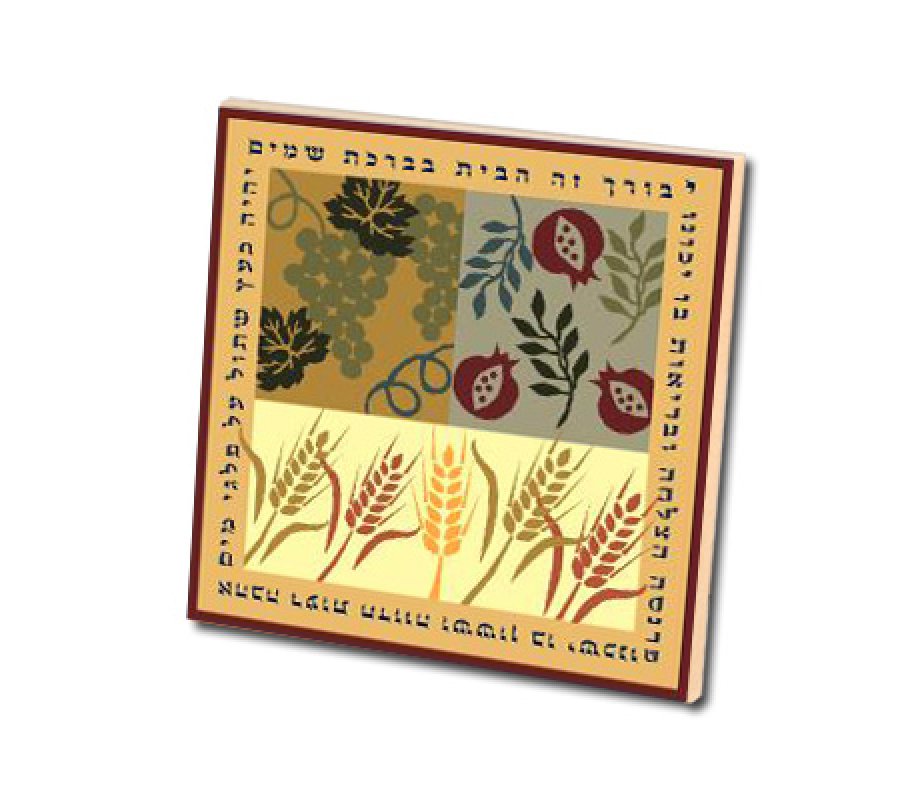 24 in pack Dorit Judaica Colorful Magnet Seven Species Home Blessings - Hebrew