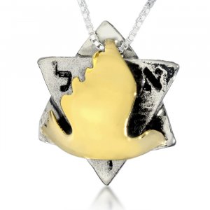 Silver-Gold Dove Star of David Pendant by HaAri Jewelry