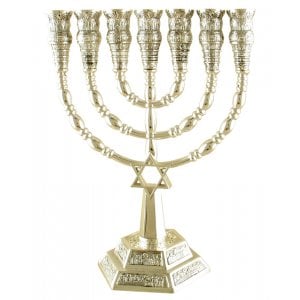 Decorative 7 Branch Menorah with Star of David, Silver - Option 9.4" or 6" Height