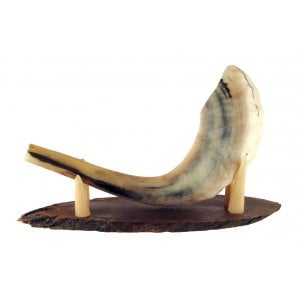 Oval Wood Shofar Stand with Kudu Tips Support - for Rams Horn Length 11-18"
