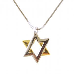 Rhodium Two tone 2 Layer Star of David Necklace