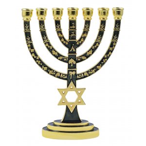Gold 7-Branch Menorah, Green Enamel with Star of David & Judaic Symbols – 9.5”