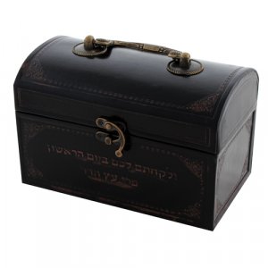 Dark Brown Etrog Box with Faux Leather Finish and Hebrew Wording
