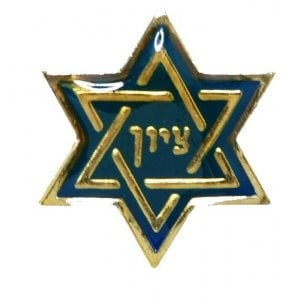 Star of David Zion Lapel Pin