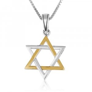 Sterling Silver and Gold Plated Pendant Necklace – Interlocking Stars of David