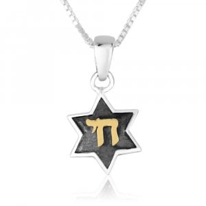 Sterling Silver Pendant Necklace - Star of David with Gold Plated Chai