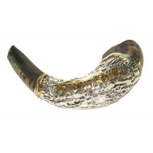 Sterling Silver plated Ram's Horn Shofar with Gold