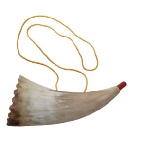 Childrens Real Sheep Horn Shofar with Plastic Mouthpiece