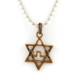 Israeli Army Star of David "ZHL" Pendant
