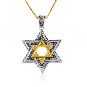 Two Tone Sterling Silver and Gold Plated Star of David Pendant Necklace