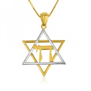 Sterling Silver Pendant Necklace - Gold Plated Chai on Star of David