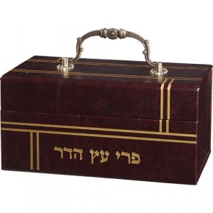 Dark Brown Decorative Box-Shaped Etrog Holder, Ornate Handle - Faux Leather