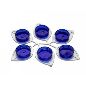 Israel Museum Anodized Aluminum Passover Seder Plate - Leaf Design with Blue Glass Plates