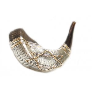 Silver and Gold Plated Shofar