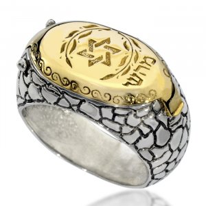 HaAri Silver and Gold Signet Snake Ring, Kabbalah Engravings and a Secret Drawer