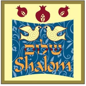 24 in pack Dorit Judaica Aluminum Magnet Doves Shalom - Hebrew English