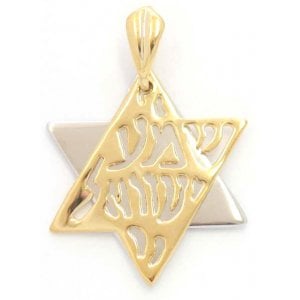 Gold Filled Shema Two Color Star of David Pendant