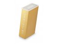 Adi Sidler Contemporary Brushed Aluminum Tzedakah Charity Box - Gold