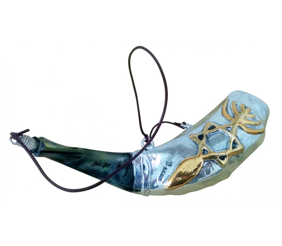 Anointing Sterling Silver Rams Horn Shofar