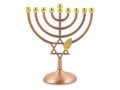 Bronze Color Chanukah Menorah with Star of David and Leaf Design - 7 Inches