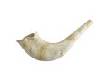 Children's Natural Color Plastic Shofar - Large