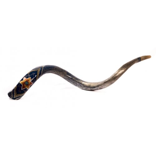 Collectors Hand Painted Yemenite Shofar - Gold Star of David