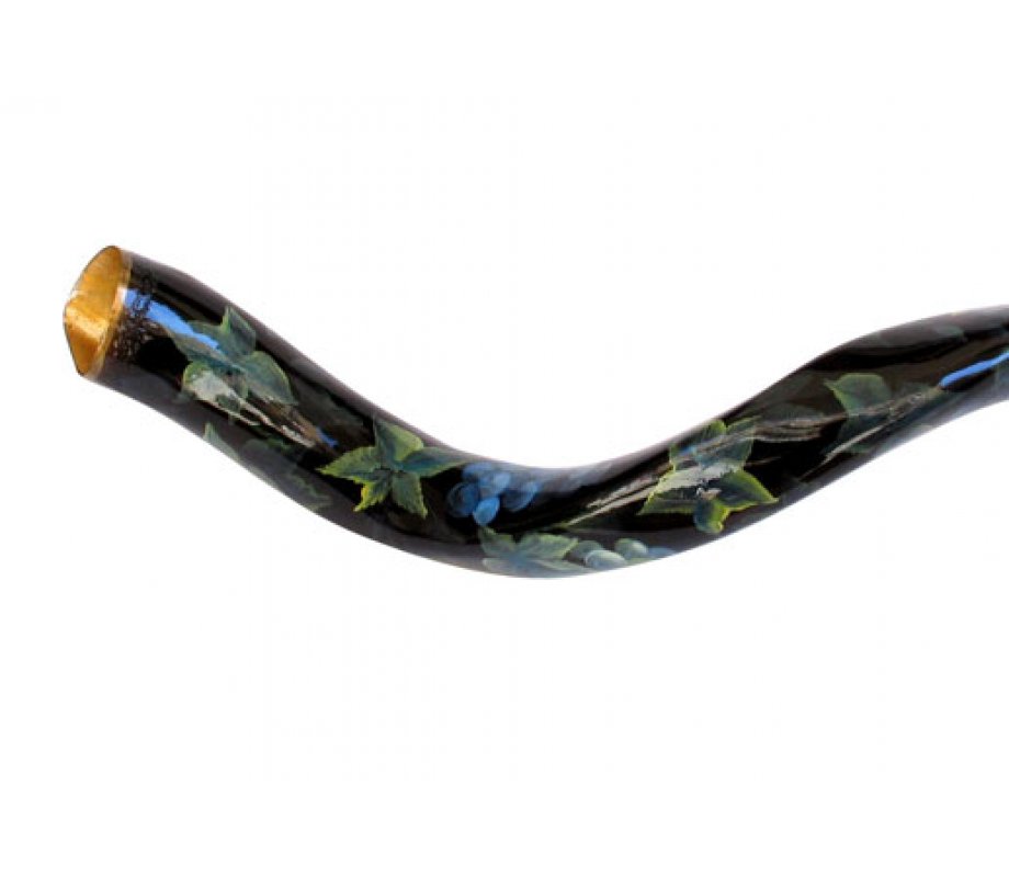 Collectors Hand Painted Yemenite Shofar - Grapevine