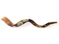 Collectors Hand Painted Yemenite Shofar - Seven Species