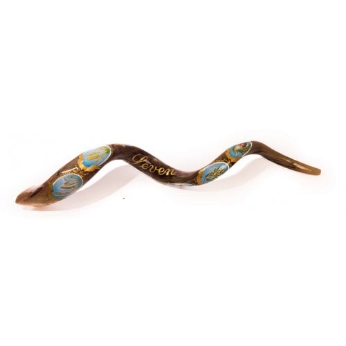 Collectors Hand Painted Yemenite Shofar - Seven Species