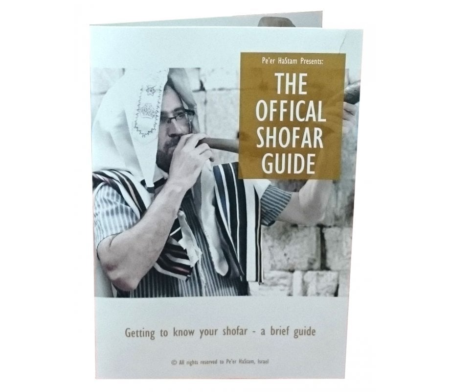 Collectors Hand Painted Yemenite Shofar - Ten Commandments