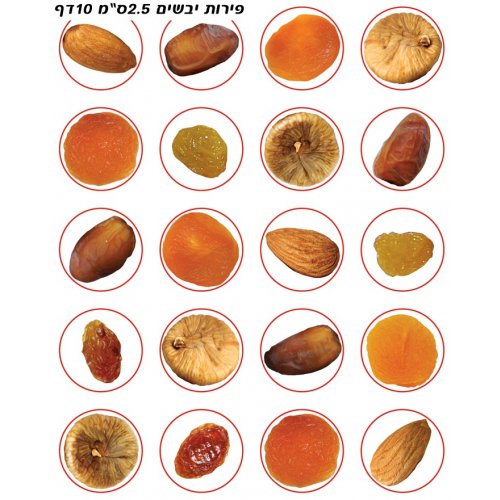 Colorful Stickers for Children - Tu BiShvat Dried Fruit Stickers