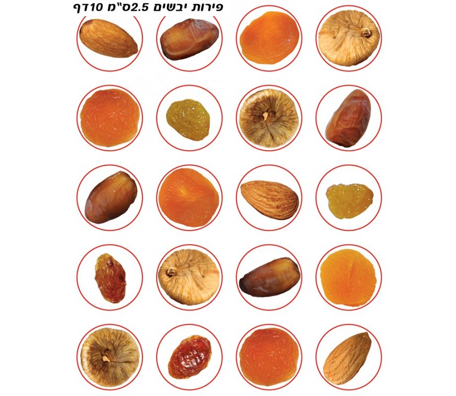 Colorful Stickers for Children - Tu BiShvat Dried Fruit Stickers