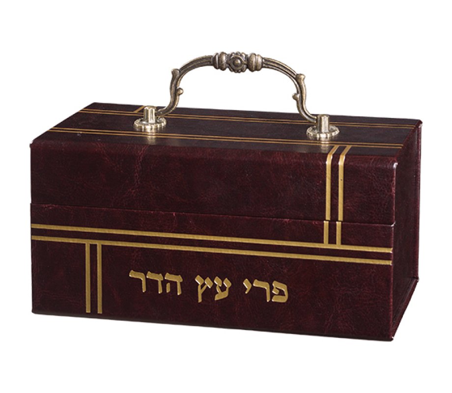 Dark Brown Decorative Box-Shaped Etrog Holder, Ornate Handle - Faux Leather