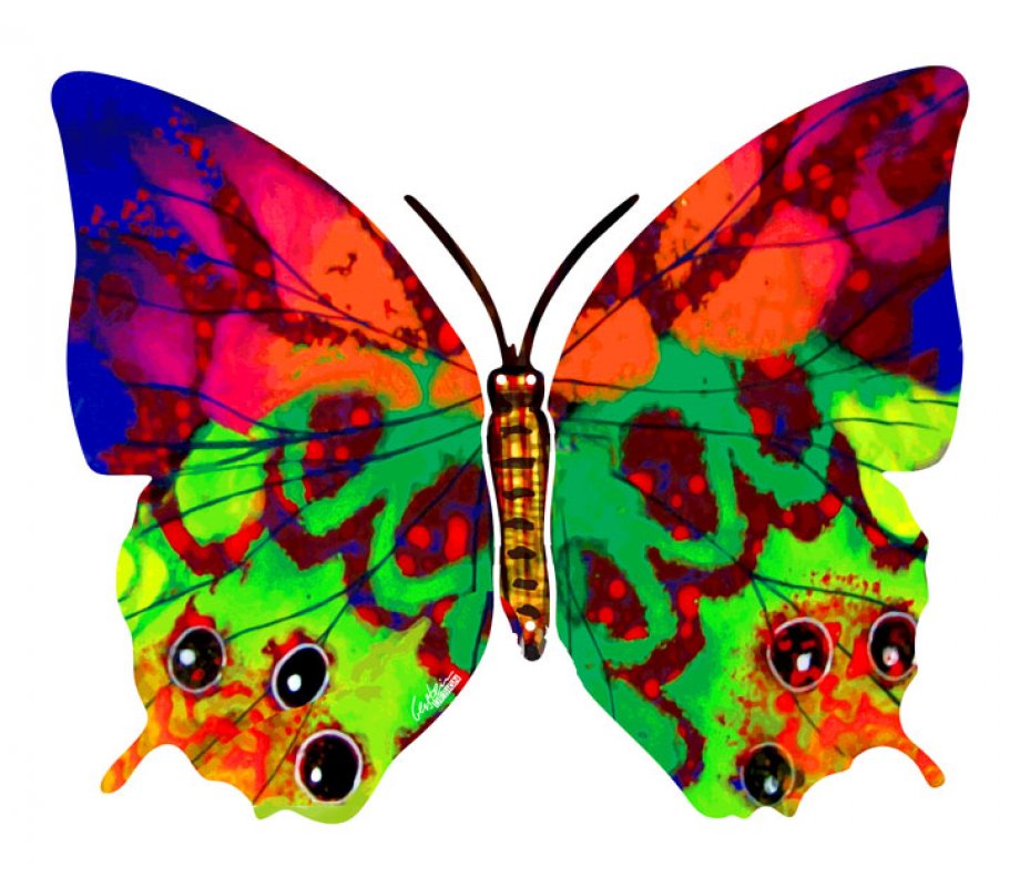 David Gerstein Double Sided Steel Wall Sculpture - Hava Butterfly