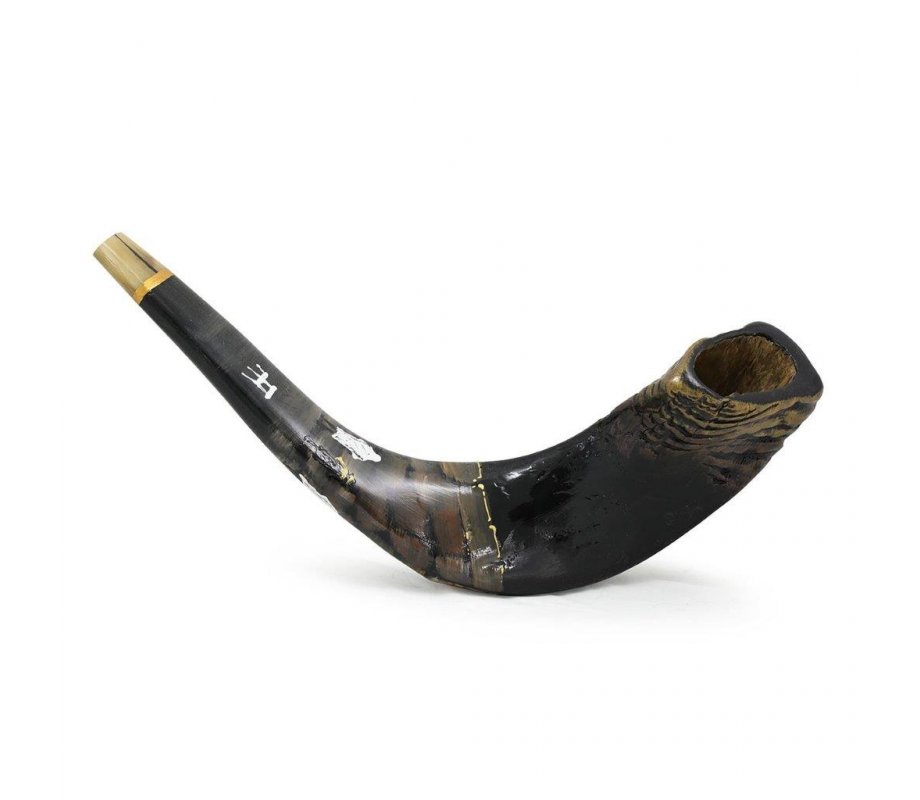 Decorated Hand Painted Ram's Horn Shofar - Western Wall Menorah Design Dark Tones