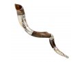 Decorative Yemenite Shofar - Sterling Silver Choshen, Menorah, Olives