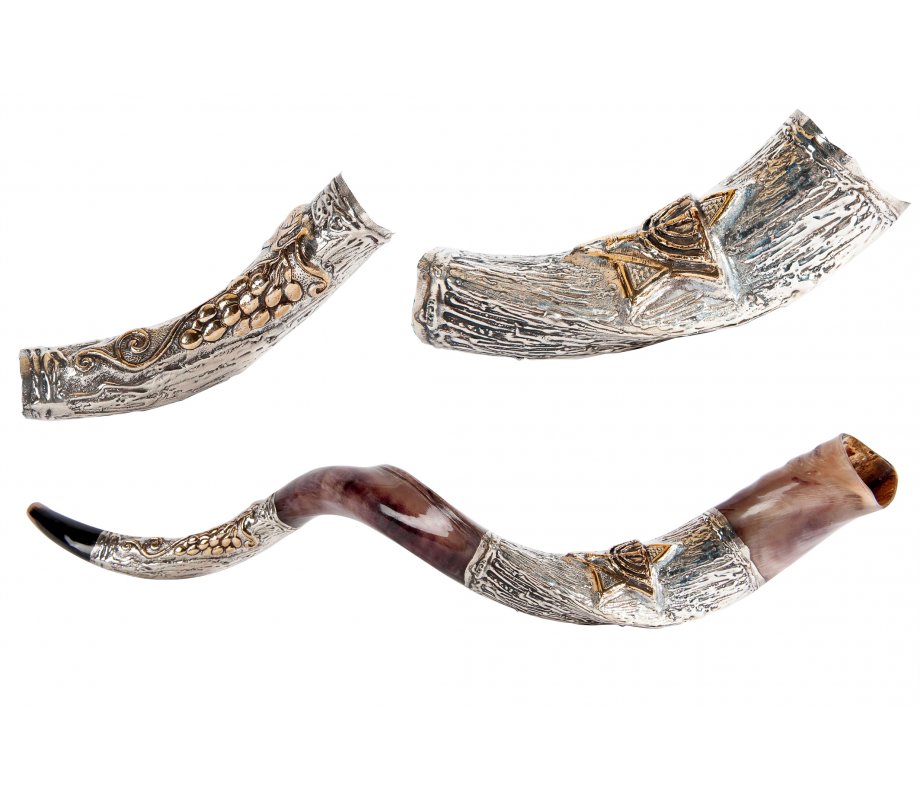 Decorative Yemenite Shofar with Sterling Silver with Menorah, Star of David and Olives