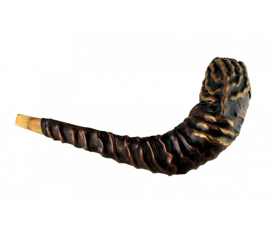Distinctive Leather-bound Ram's Horn Shofar  Menorah Design