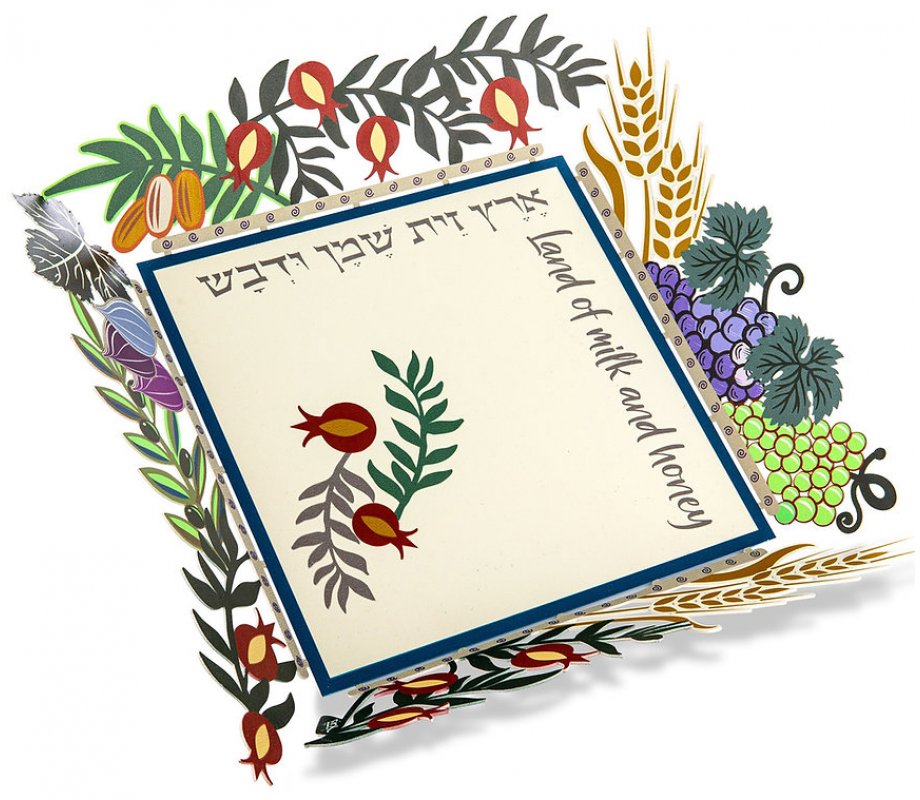 Dorit Judaica Decorative Tray with Colorful Seven Species Cutout Border