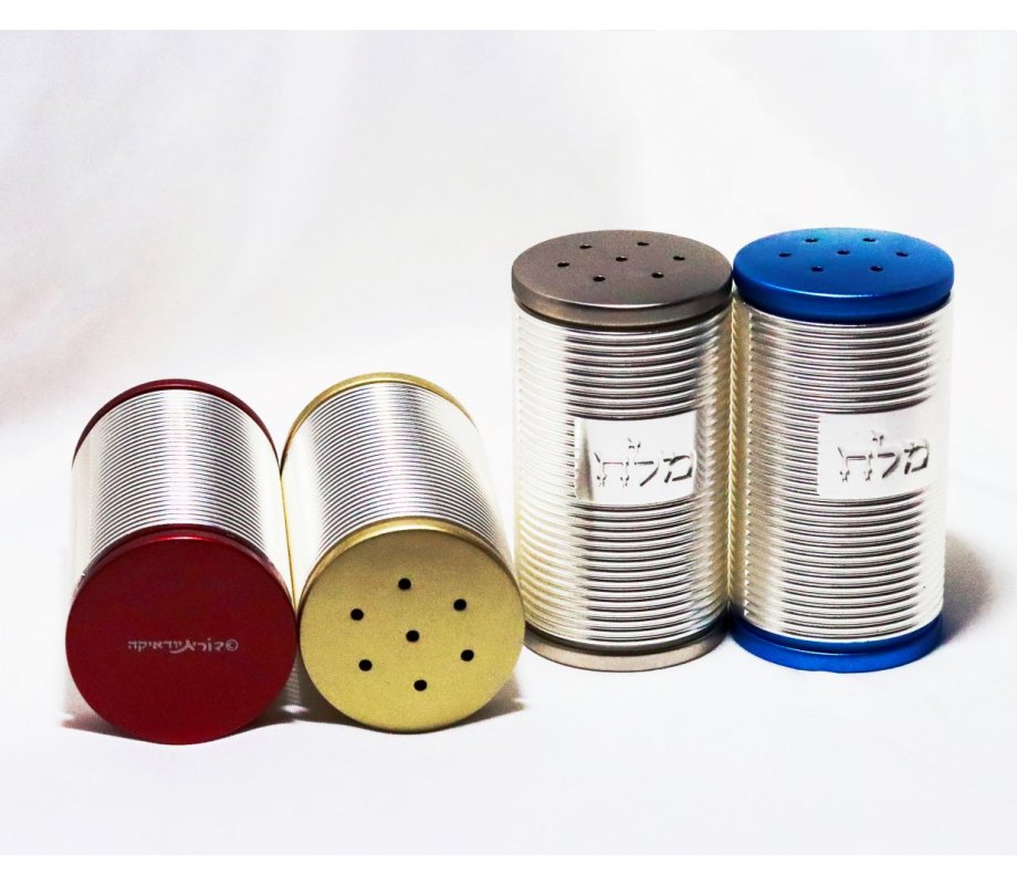 Dorit Judaica Spiral Design Salt Shaker with Hebrew Plaque - Silver and Maroon