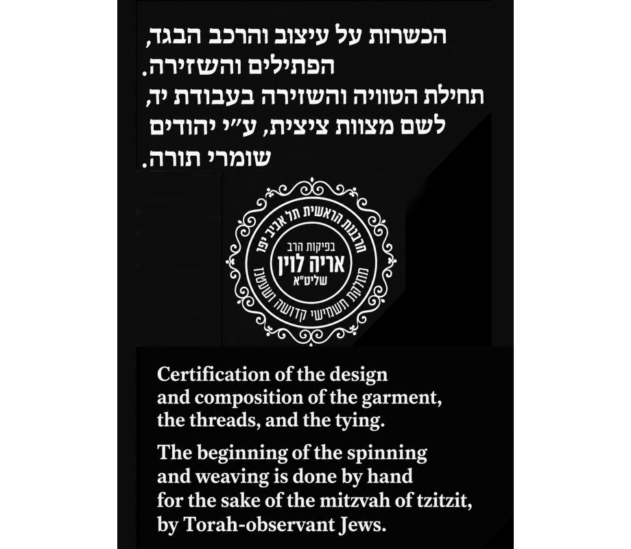 Dry-Fit Tzitzit T-Shirt V Neck with Kosher Tzitzis, Black - Moisture-Wicking Athletic Shirt