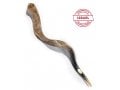 Extra Large Kosher Yemenite Shofar Kudu Polished