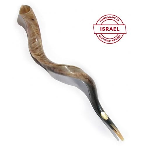 Extra Large Kosher Yemenite Shofar Kudu Polished