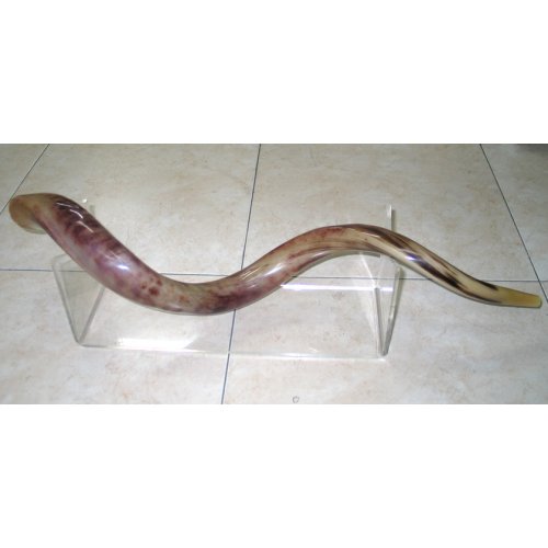 Extra Large Lucite Stand - for Yemenite Shofars 40-52 Inches Length