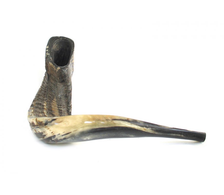 Extra Large Rams Horn Shofar with Dark Shades - Natural Finish